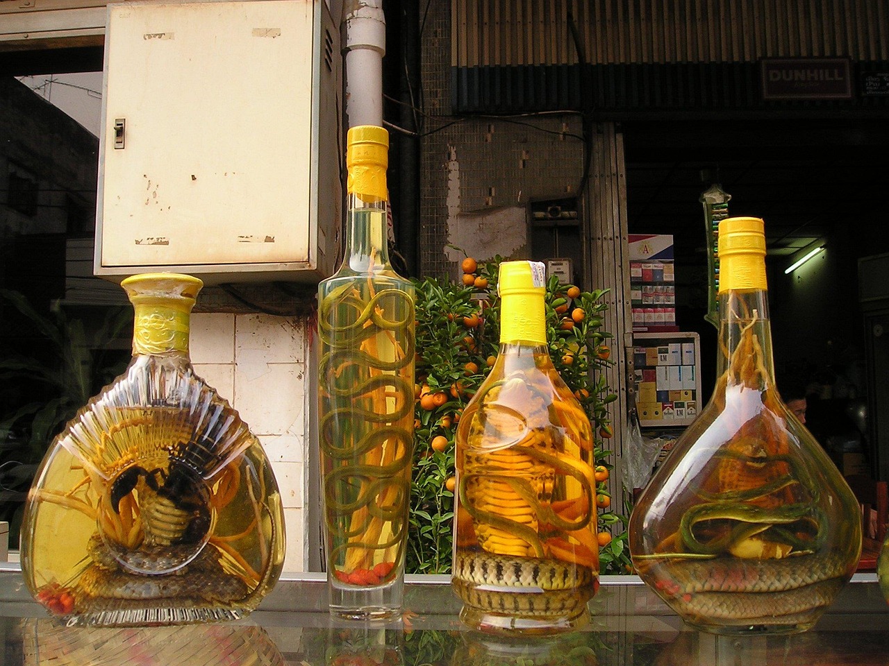 茅台五月价格探秘，酒香四溢与走势分析